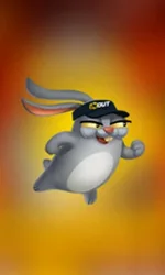 Rabbit Road